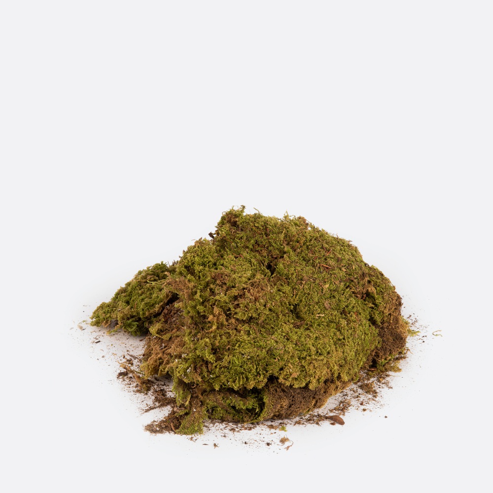 Decoração Natal MOSS